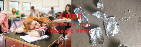 индика Алексин