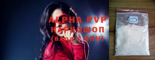индика Алексин