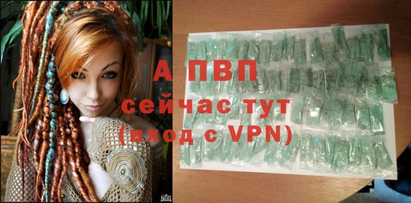гидра Алексеевка