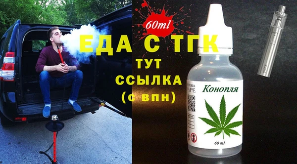 индика Алексин