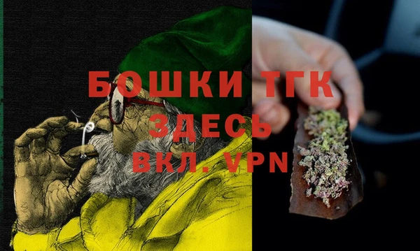 индика Алексин
