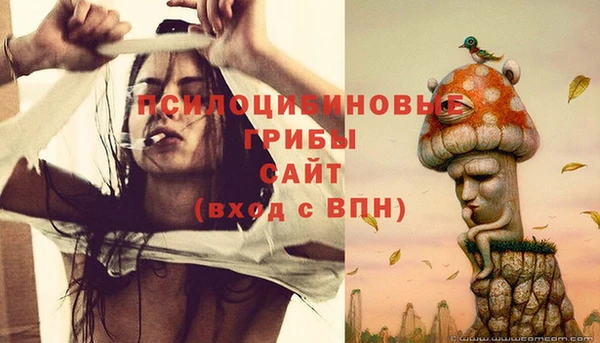 герыч Алзамай