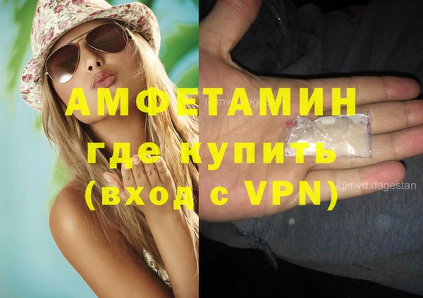 индика Алексин