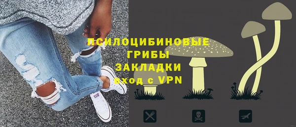 индика Алексин