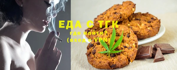 индика Алексин