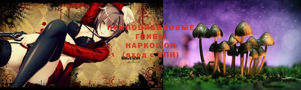 герыч Алзамай