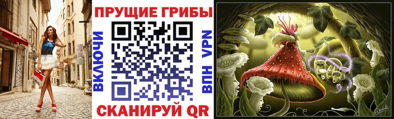 Псилоцибиновые грибы ЛСД  как найти закладки  Белореченск 